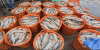 No need for any apprehension about eating fish -Agriculture Minister