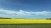 Crops make recovery following warmer July