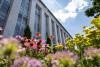 Northeastern achieves gold rating from campus sustainability program