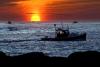 Does lobster fishing industry’s claim of defamation violate Monterey Bay Aquarium’s free speech rights?
