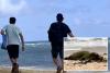 Hunt for two men caught attacking endangered Hawaiian seal with rock on paradise beach