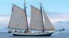 Harassment in Rye, a disappointing tall ship and CD-1 endorsements: Letters