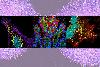 Scientists unveil more than 600 new tissue models of human cancer