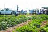 WARC shares latest research at Field Day