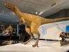 Dinosaur Summer at Fernbank celebrated with exhibit, film, special programs