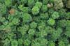 Which nature investments pay off? Here’s what a decade of data says