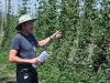 KPU sets up research hopyard