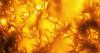 Vortex-like patterns observed on the sun's surface