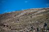 Colorado 14er hiking down to record low of 10-year study ー largely due to a closure