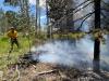 More Utah forests are burning than ever before. Here’s why that matters