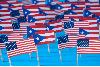 The “End Birthright Citizenship in the Territories” Bill: The Details