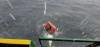 South Korean Containership Rescues Four Sailors Adrift in a Life Raft