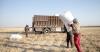 Syria recovery ‘gaining pace’