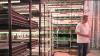 ‘Move the farm and not move the food': Indoor farming takes off in Arlington