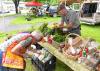 ‘People are valuing shopping local’: Area farmers markets see rising interest amid national food safety concerns
