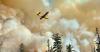 As fires rage, tone-deaf timber group blames environmentalists for blaze