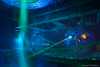 Indiana Jones Adventure at Tokyo DisneySea to Reopen This November With New Projection Mapping Effects
