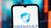 WULF CEO Says TeraWulf Is Moving To ‘Scaled’ Execution’ With Power Defining The AI Race Amid Earnings Miss