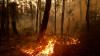 Wildfire Smoke Brings Oregon Workplace Rules