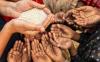 El Niño threatens to worsen global hunger, WFP warns