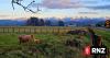 Auckland's coldest day in five years as power use hits another record