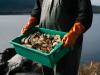 The Best Oysters In The World Come From Alaska