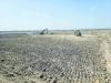 Construction of shrimp farming project in Shinas 80% complete
