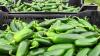Jalapeno-linked salmonella outbreak sickens hundreds across 27 U.S. states