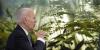 Exclusive: 17 state officials ask Trump to slash Biden-era climate rules