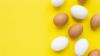 Optimizing software: Computing professor’s ‘egg’ downsizes programs to make them more nimble