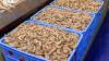 Shrimp boom draws seafood enthusiasts to Eastern Province markets
