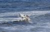 Our View: Speak up for the Pacific Northwest’s heroic Coast Guard rescuers