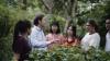 Thailand to host Third WHO Global Summit on Traditional Medicine in 2027