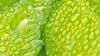 Mobile Refrigeration Technology Enables Biologicals Distribution in Off-Grid Growing Regions