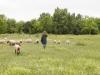 How regenerative farmers are shielding Spanish land from wildfires