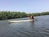 How Gambian women are restoring the mangroves protecting Banjul