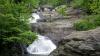 Second beaver attack reported at Western Maryland state park raises rabies concerns