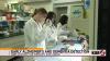 New blood test may predict Alzheimer’s years before symptoms, UNM researchers say