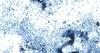 Missouri ranked third-highest of 15 states with known cyclosporiasis illnesses