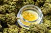 What Cannabis Says About Changing Lifestyle Priorities