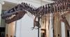 Did T. rex Really Leave These 66-Million-Year-Old Bite Marks? Scientists Say Fossils May Hold the Answer