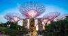 Success of local, global firms key to economy: Minister Siow
