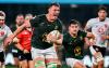 'No quitting time': Cobus Wiese credits Upington farm upbringing for relentless Springboks spirit