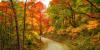 ‘The Old Farmer’s Almanac’ Fall Foliage Map Shows When Colors Will Peak in 2026