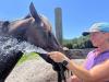 How neighbors’ water bills at a horse boarding facility are shaping votes on the property tax exemption amendment