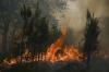 The Guy Arrested for the Spokane Fire Has Been Investigated Before for ... Aw, You Guessed It