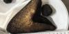 Several megalodon teeth found on the ocean floor offer new clues about the ancient giant
