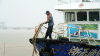China issues orange alert for waves as Typhoon Dolphin approaches