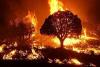 Fire Service warns against burning garbage