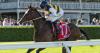 Tips and race by race preview for Saturday's Randwick meeting